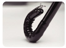 Video Endoscope System V2